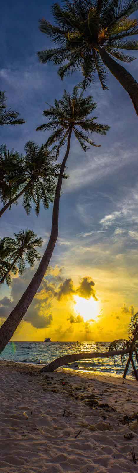 maldives sun sand and sea